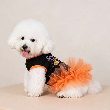 Pumpkin Lace Dress