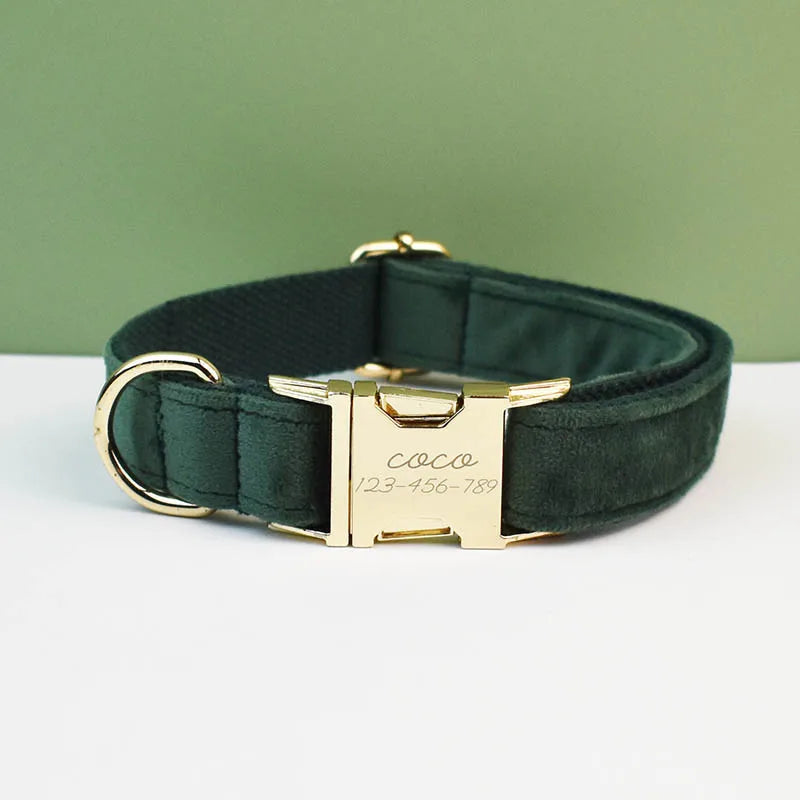 Adjustable Collar & Leash