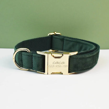 Adjustable Collar & Leash