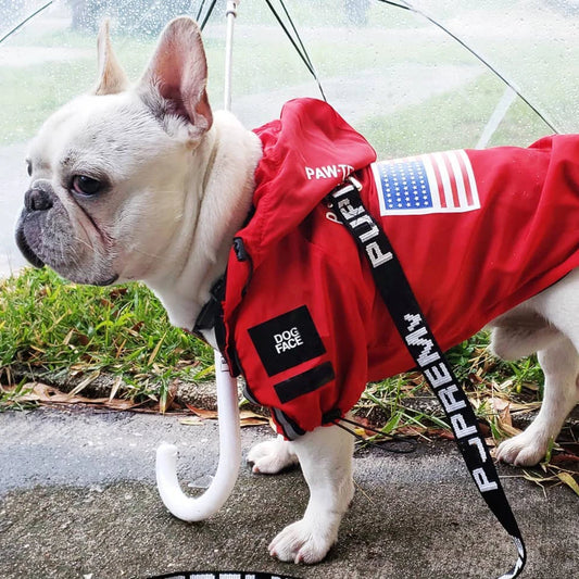 Reflective Raincoat