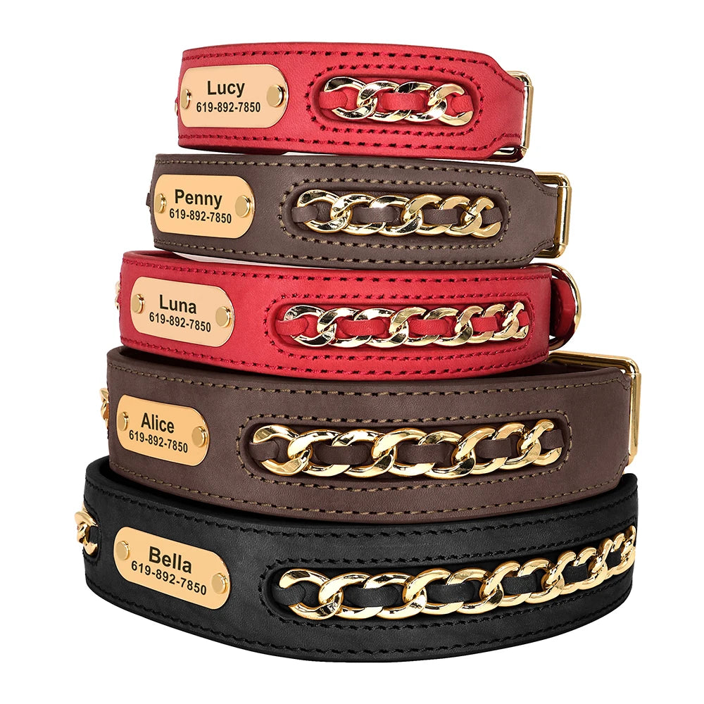 Custom Collar