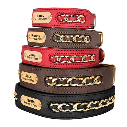 Custom Collar