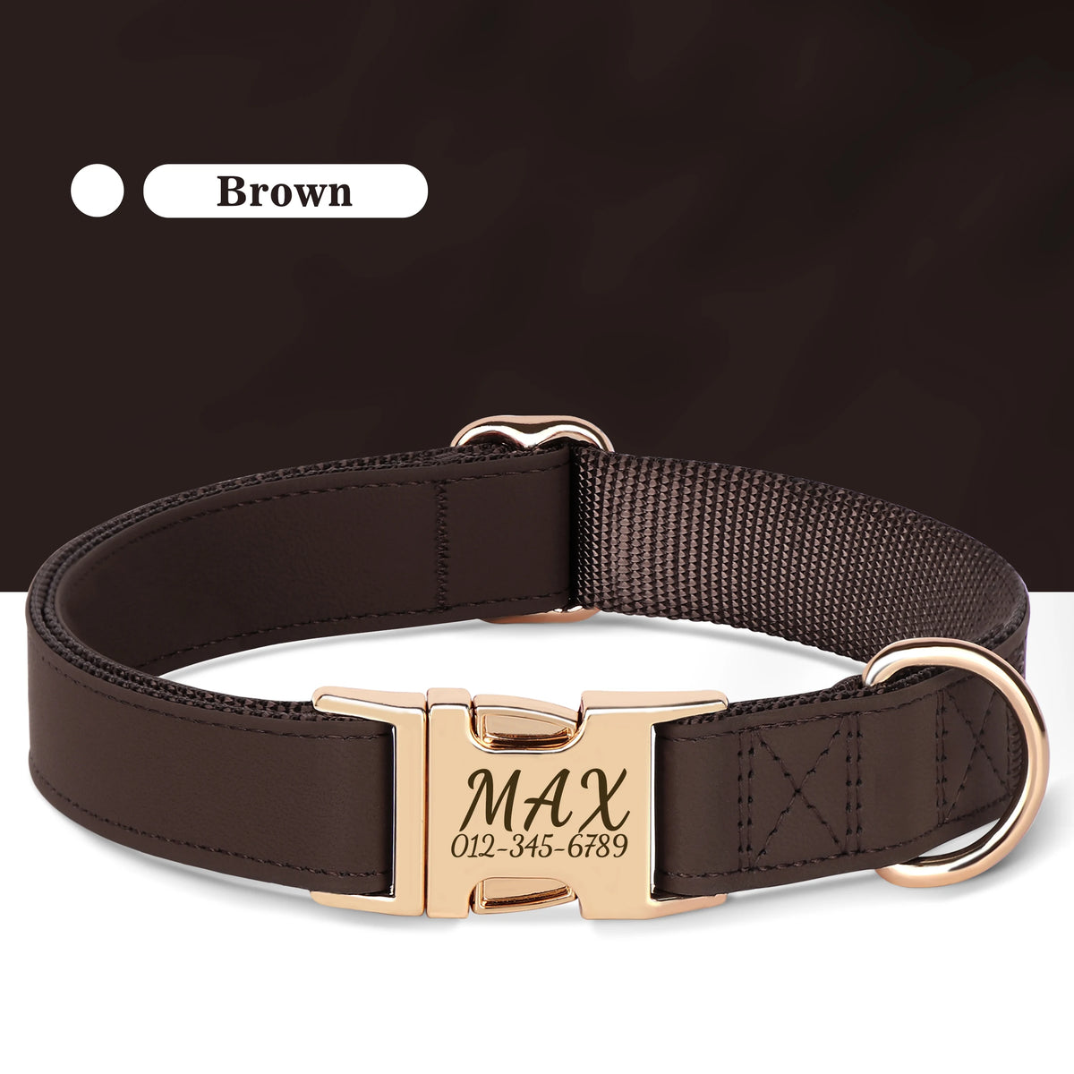 Engraved Leather Collar