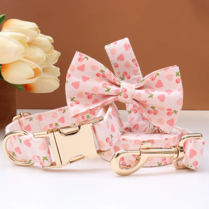 Custom Collar & Leash