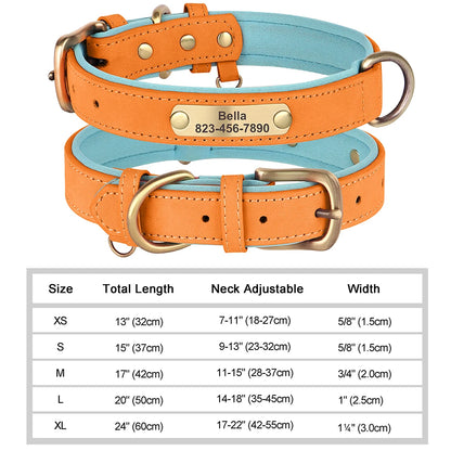 Personalized Leather Collar
