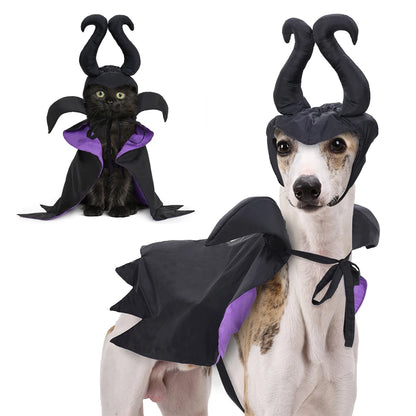 Maleficent Costume