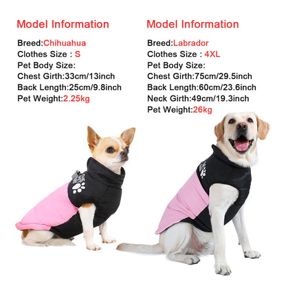 The Dog Face Coat