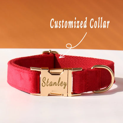 Personalized Collar