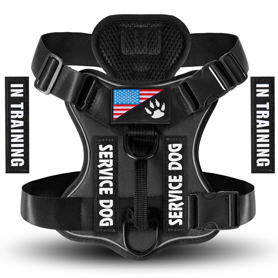 Reflective Harness