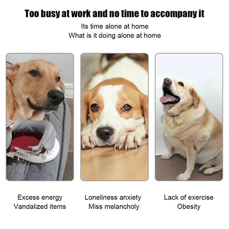 Tennis Automatic Launcher