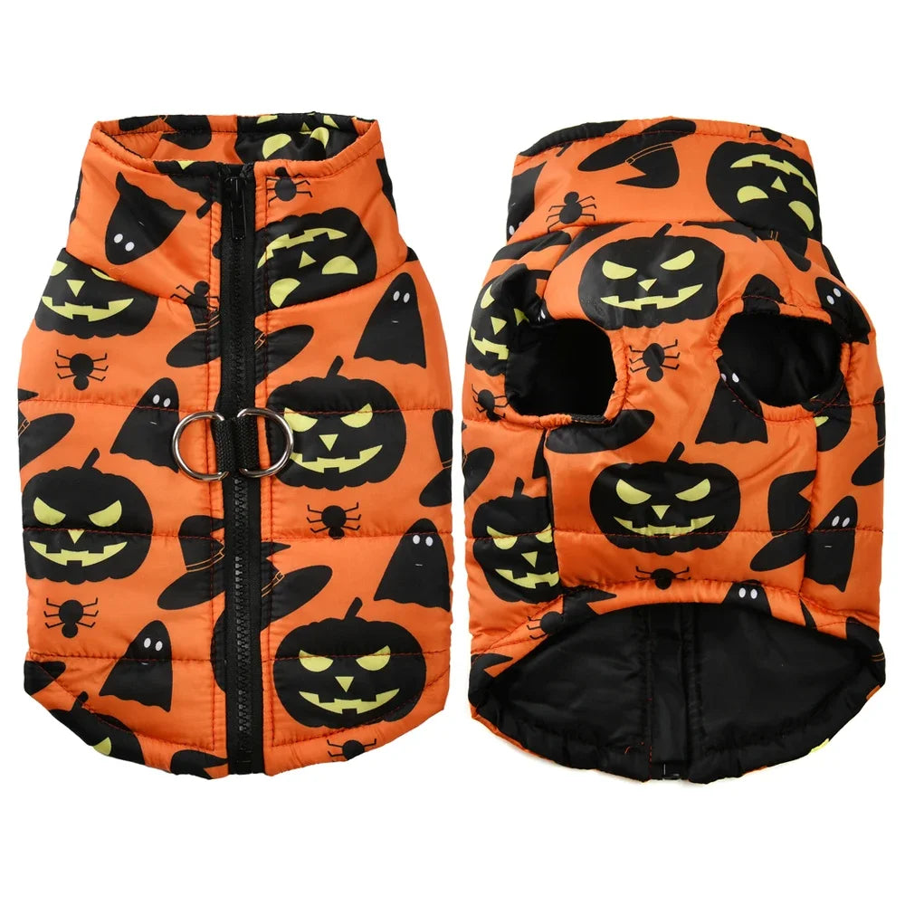 Pumpkin D-Ring Coat