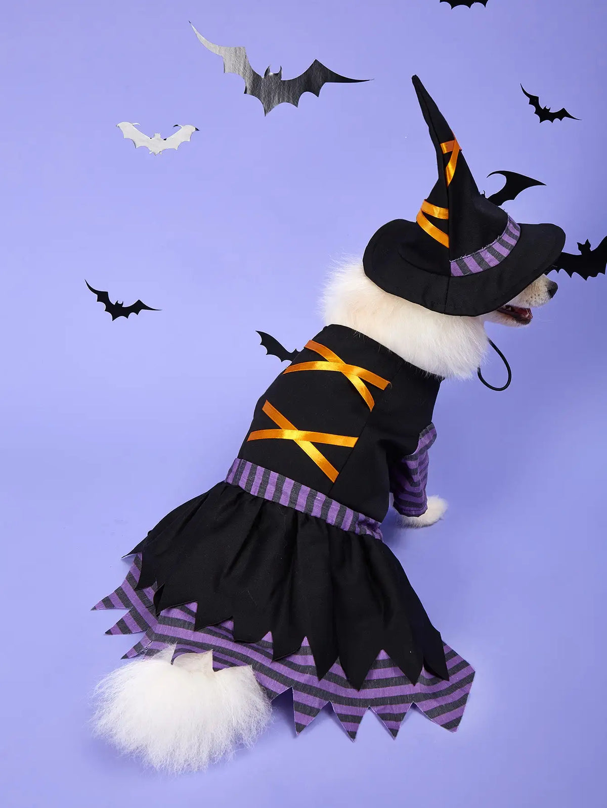 Halloween Cosplay