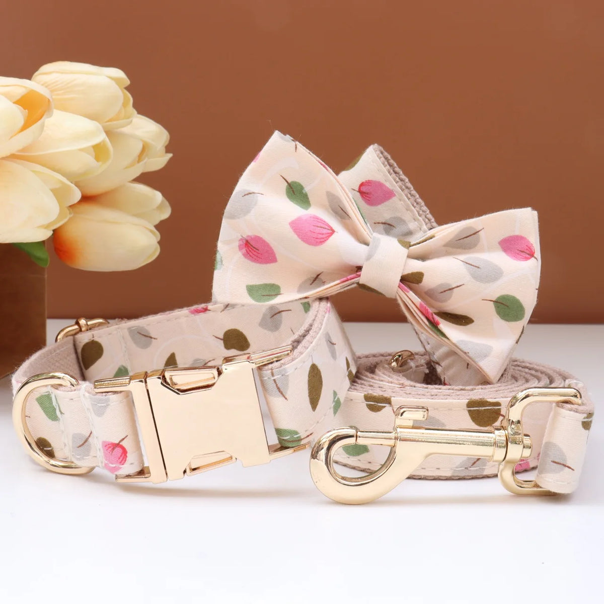 Custom Collar & Leash