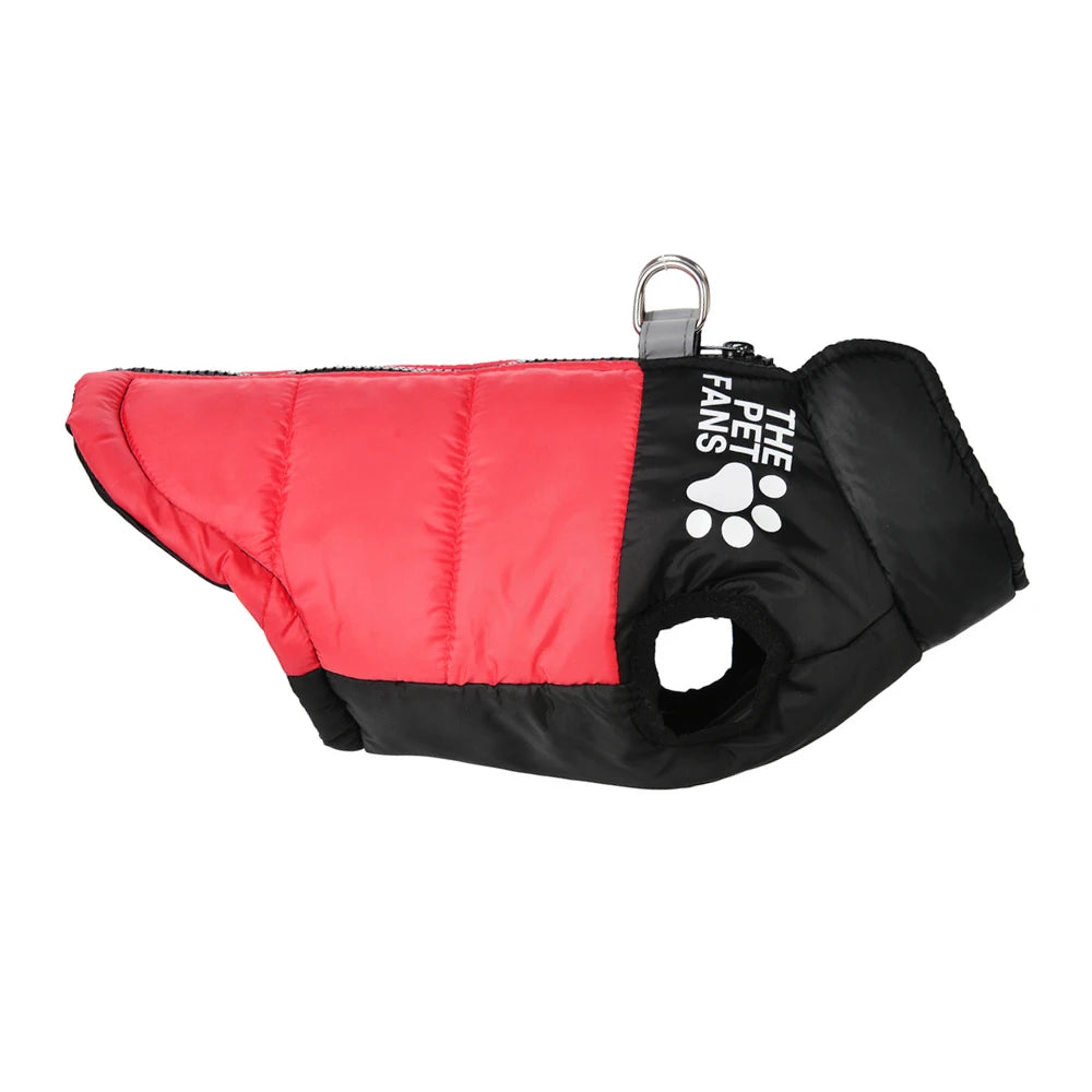 The Dog Face Coat