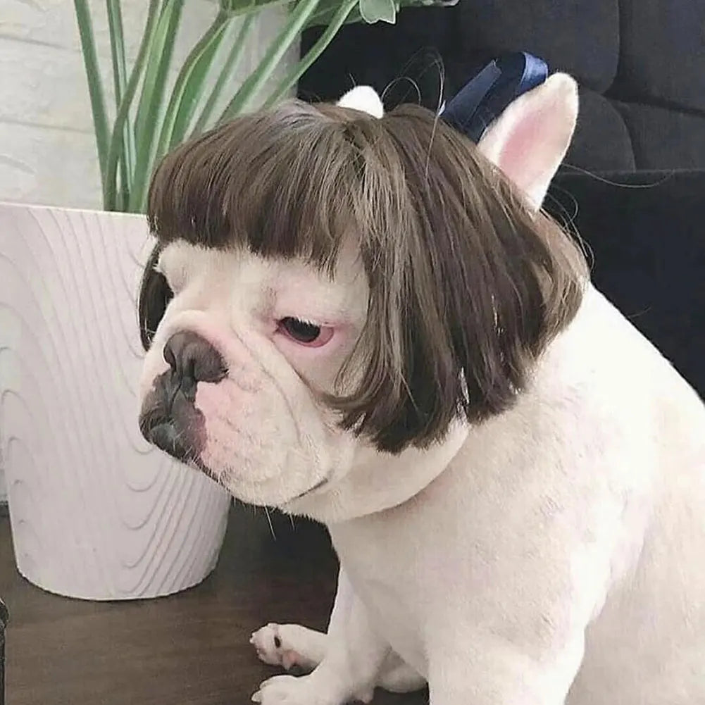Playful Wig