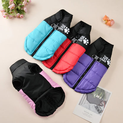 The Dog Face Coat