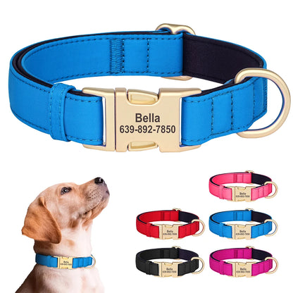 Waterproof Collar