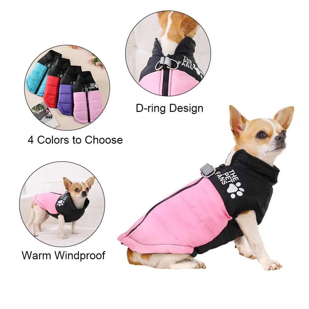 The Dog Face Coat