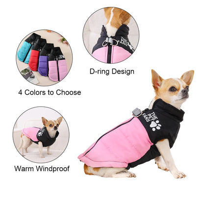 The Dog Face Coat