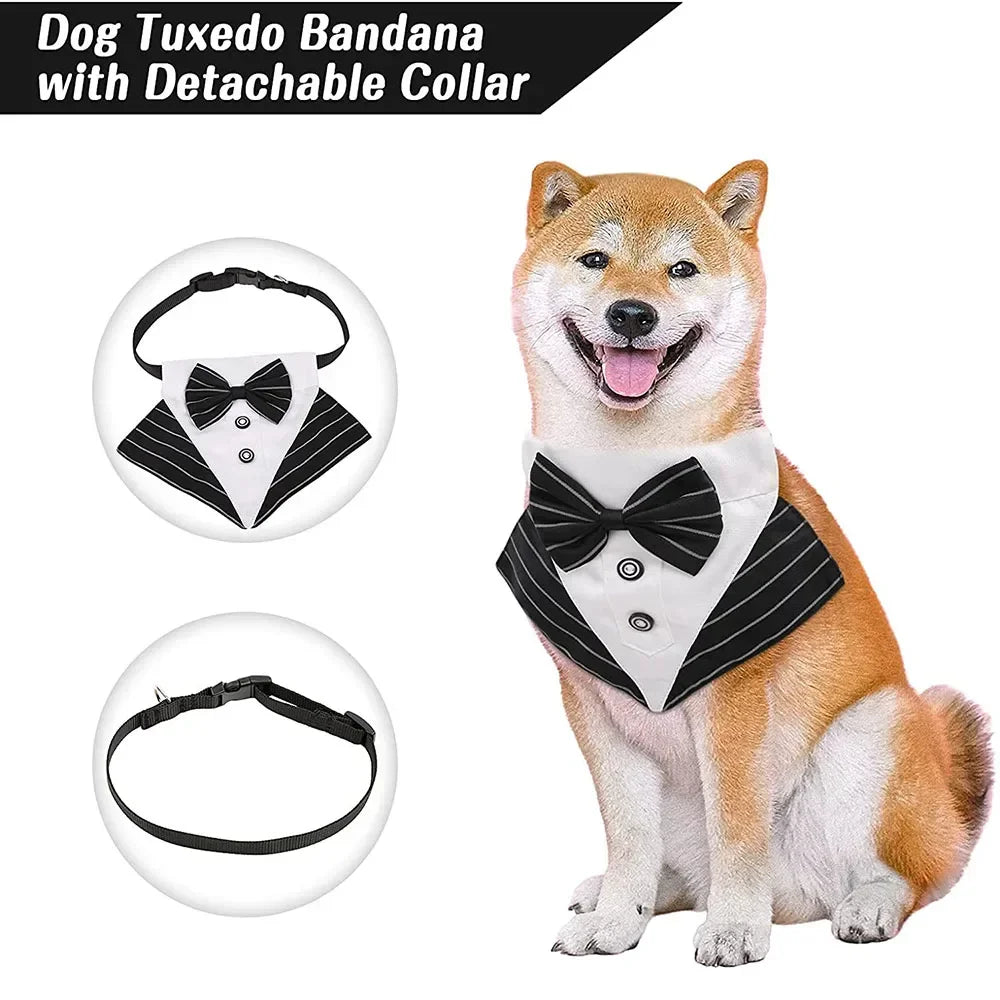 Formal Bandana