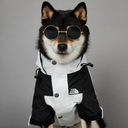 Raincoat Windbreaker