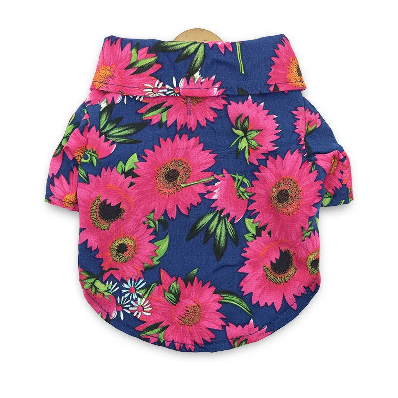 48293546066267|48293547770203|48293547802971|48293547835739|48293547868507