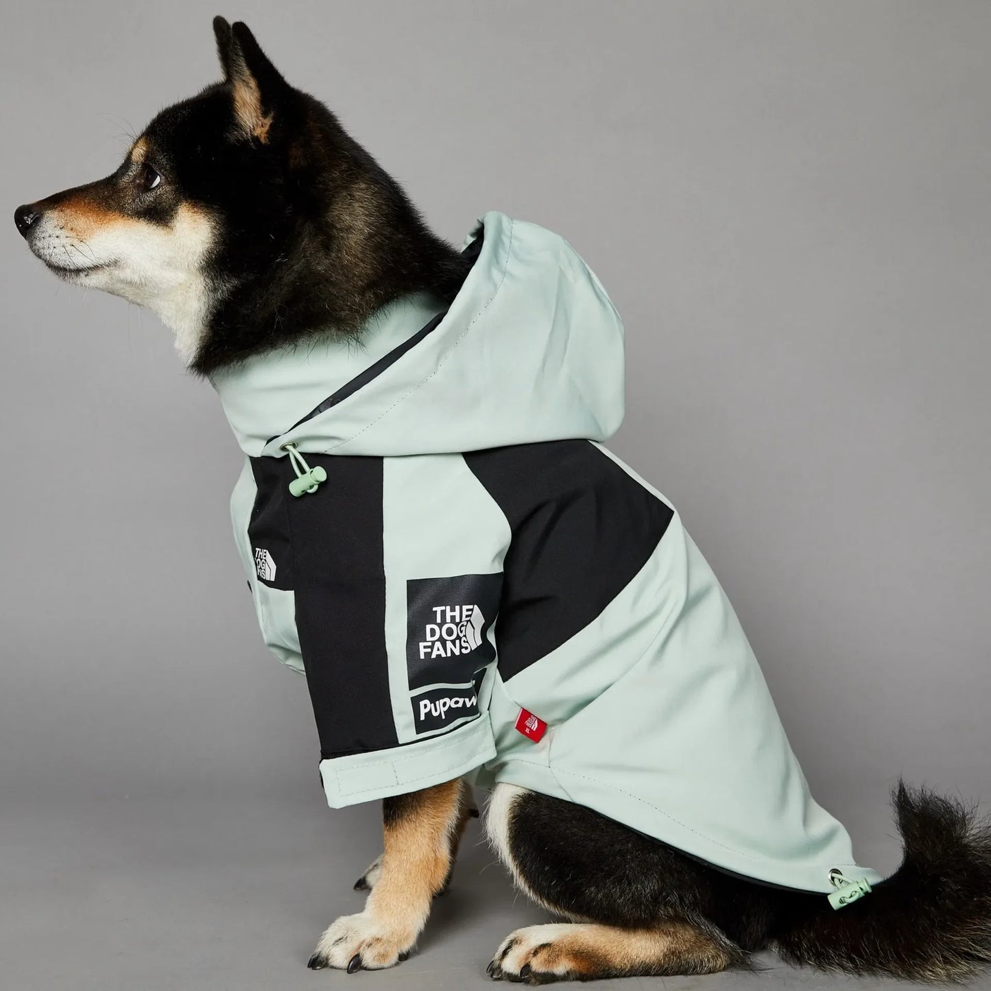 The Dog Face Raincoat