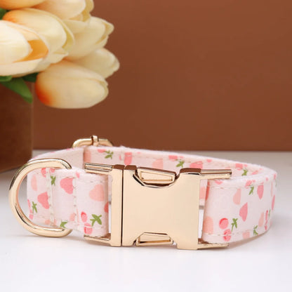 Custom Collar & Leash