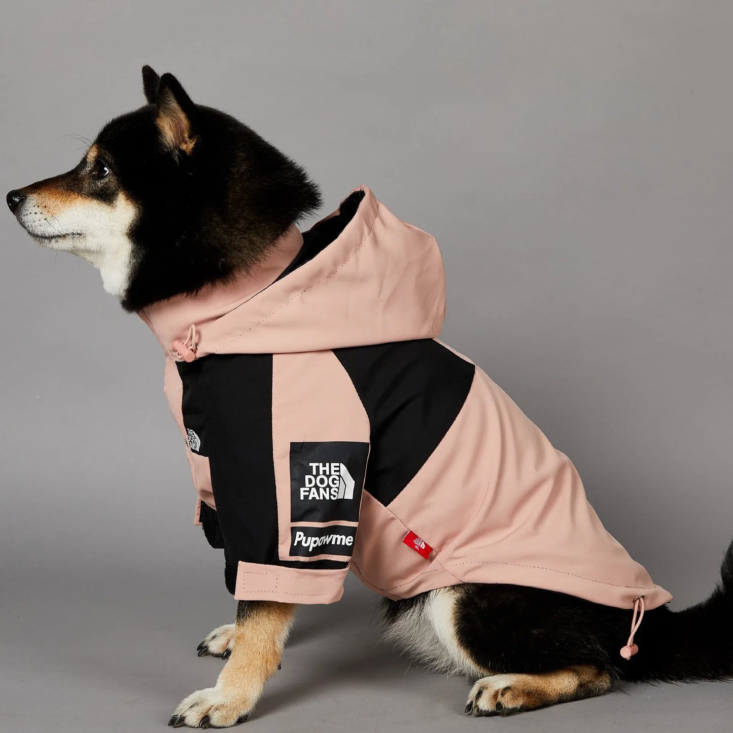 The Dog Face Raincoat