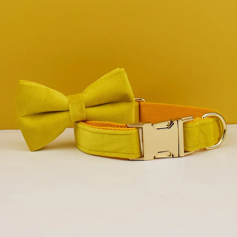 47959057924443|47959058252123|47959058284891|47959058317659