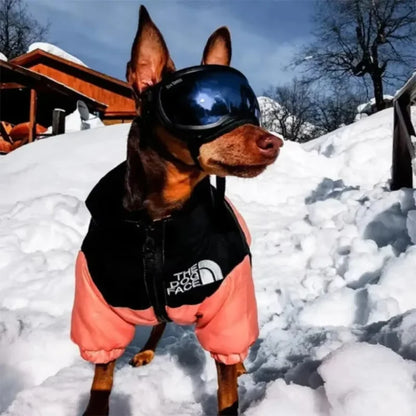 The Dog Face Jacket