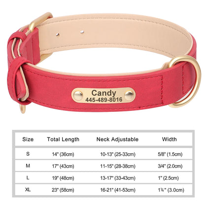 Personalized Leather Collar