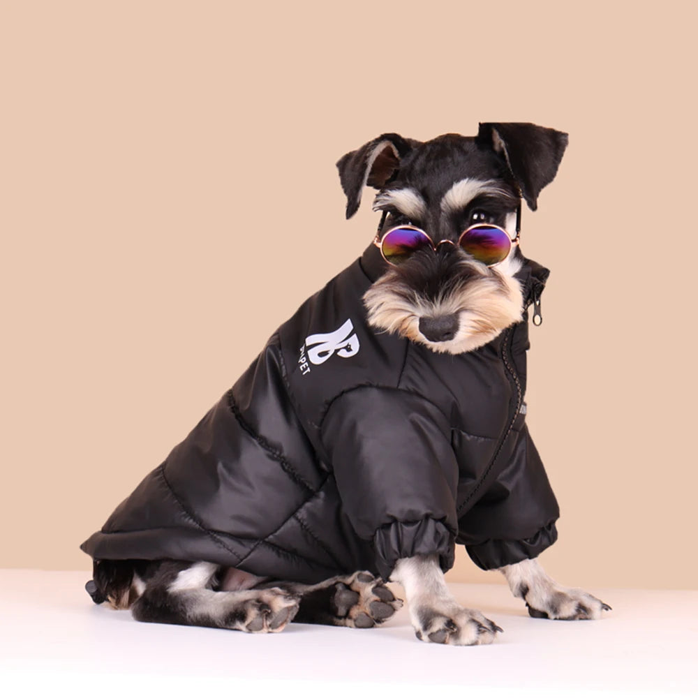 Windproof Winter Jacket
