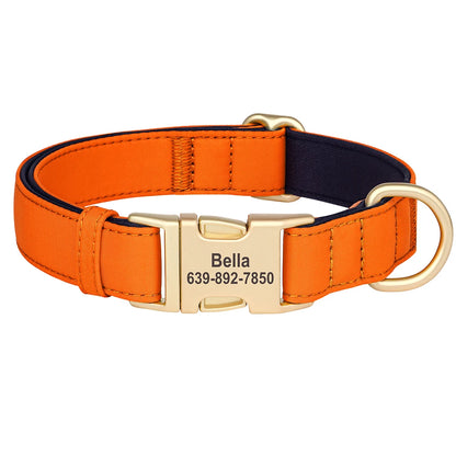 Personalized Nylon Collar