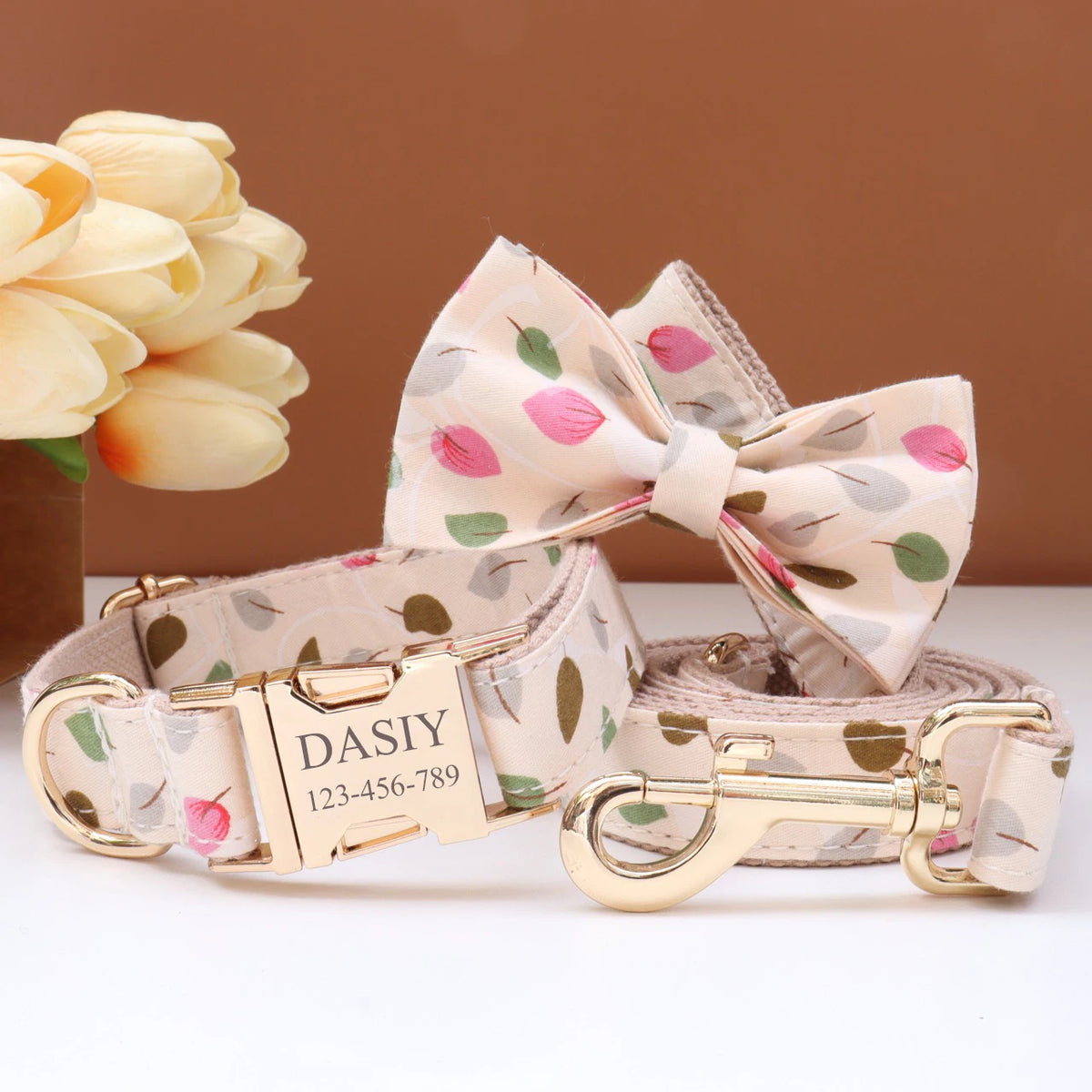 Custom Collar & Leash