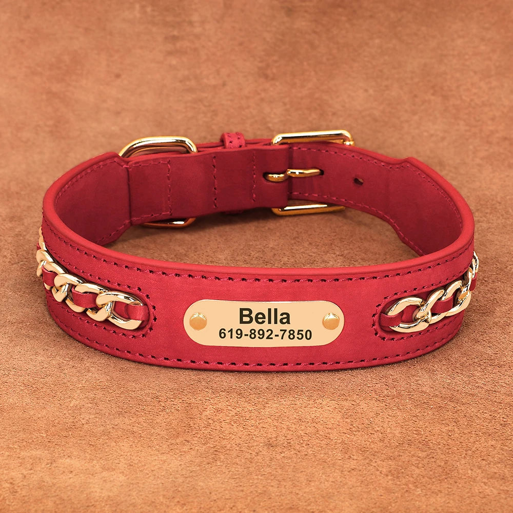 Custom Collar