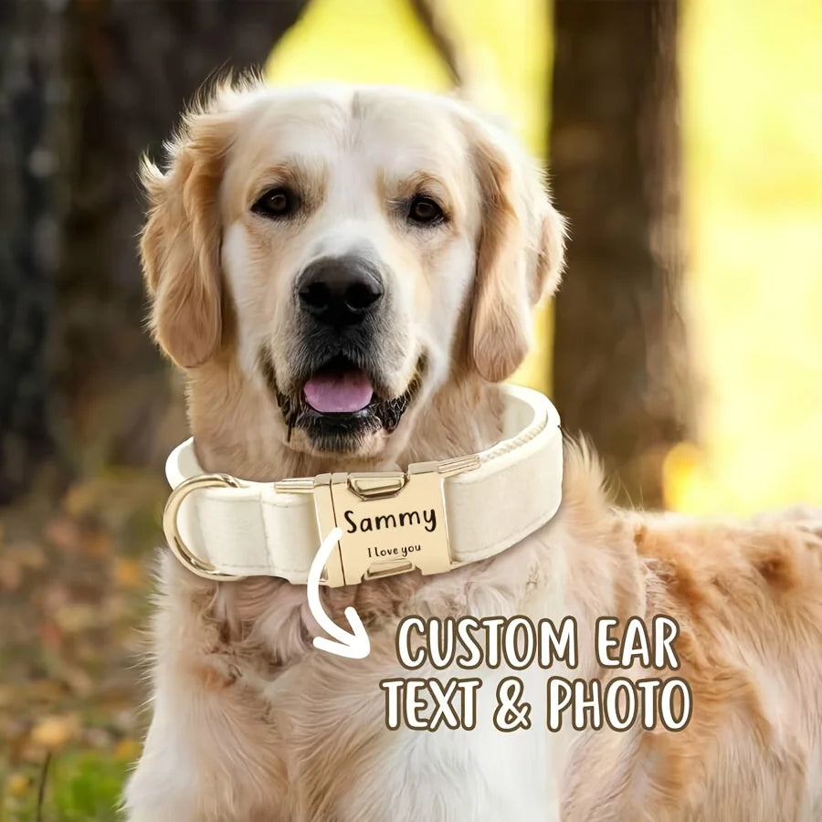 Personalized Collar