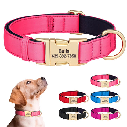Custom Nylon Collar