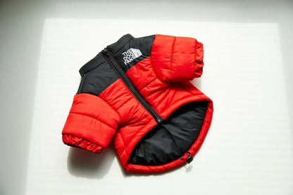 The Dog Face Jacket