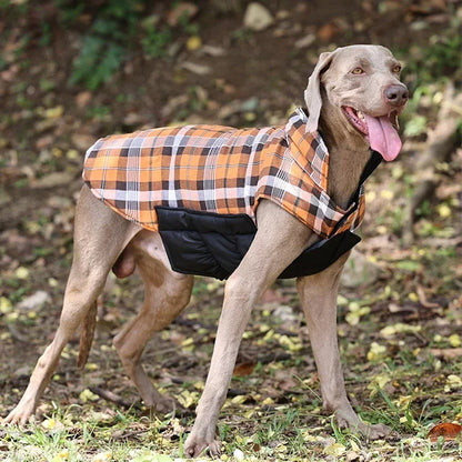 Waterproof Winter Jacket