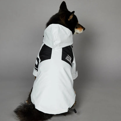 The Dog Face Raincoat