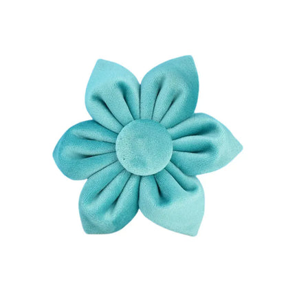 47874015166811|47874015297883|47874015363419|47874015428955|47874015494491