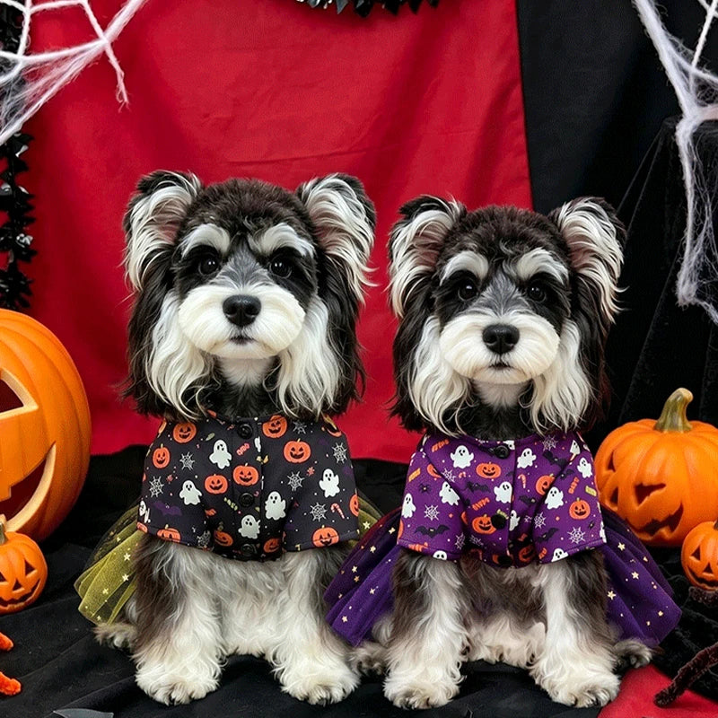 Halloween Tutu Dress