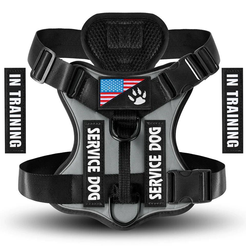 Reflective Harness