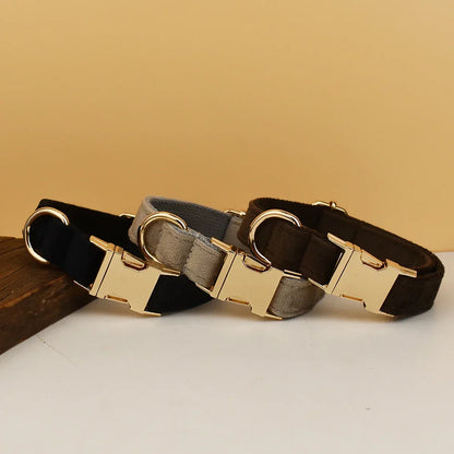 Personalized Collar & Leash