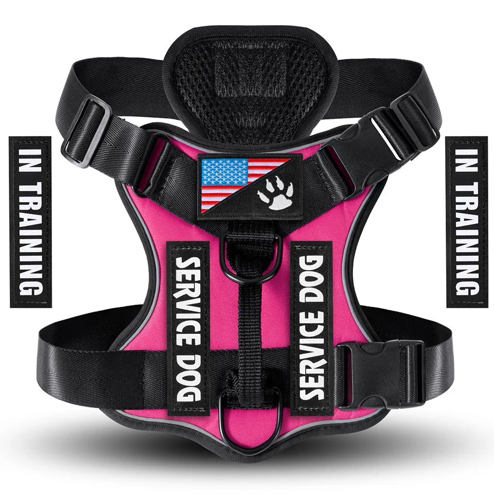 Reflective Harness