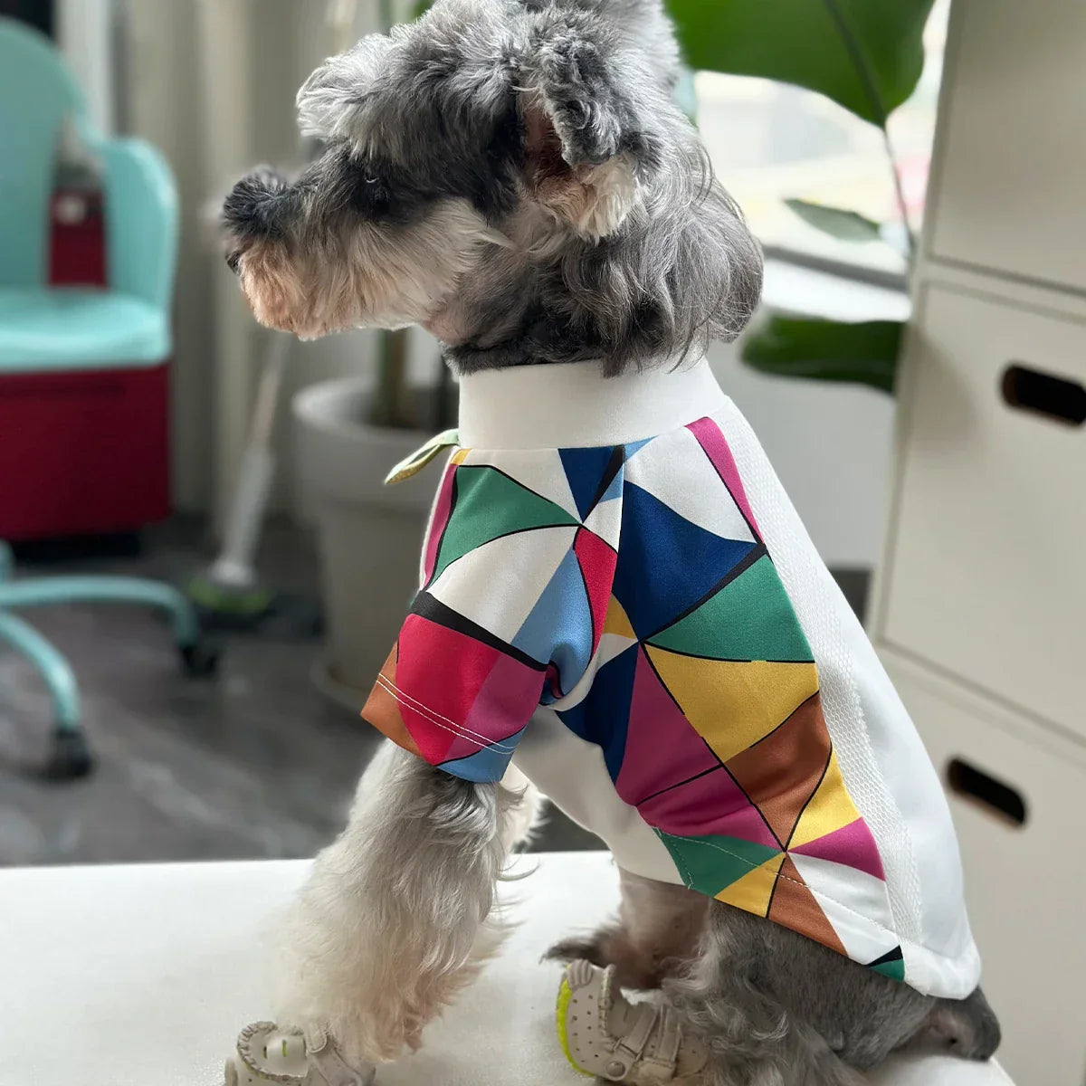 48293549211995|48293549244763|48293549277531|48293549310299|48293549343067