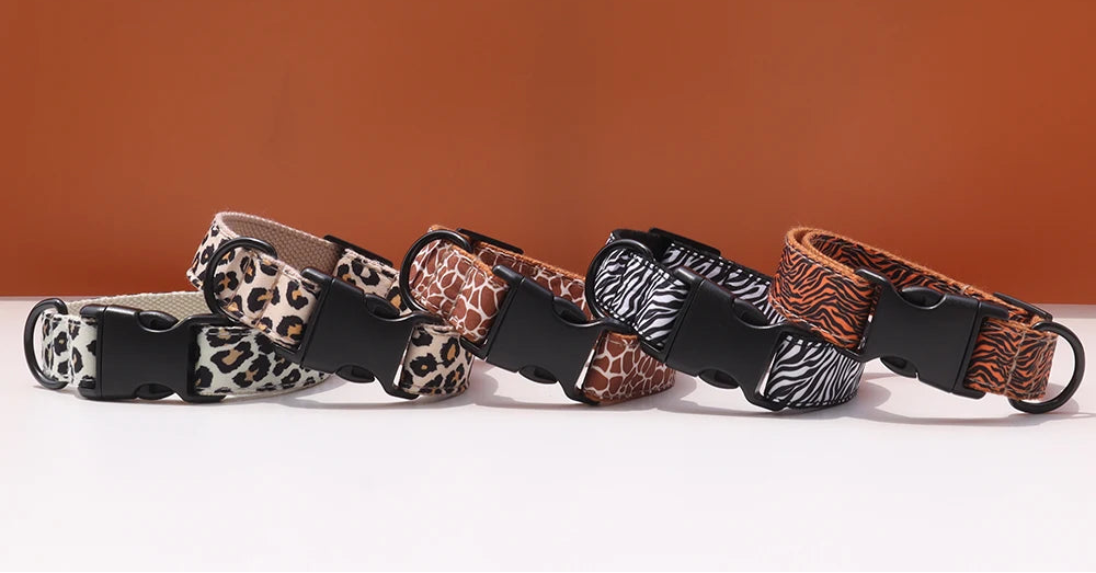 CustomCollar & Leash