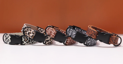 CustomCollar & Leash