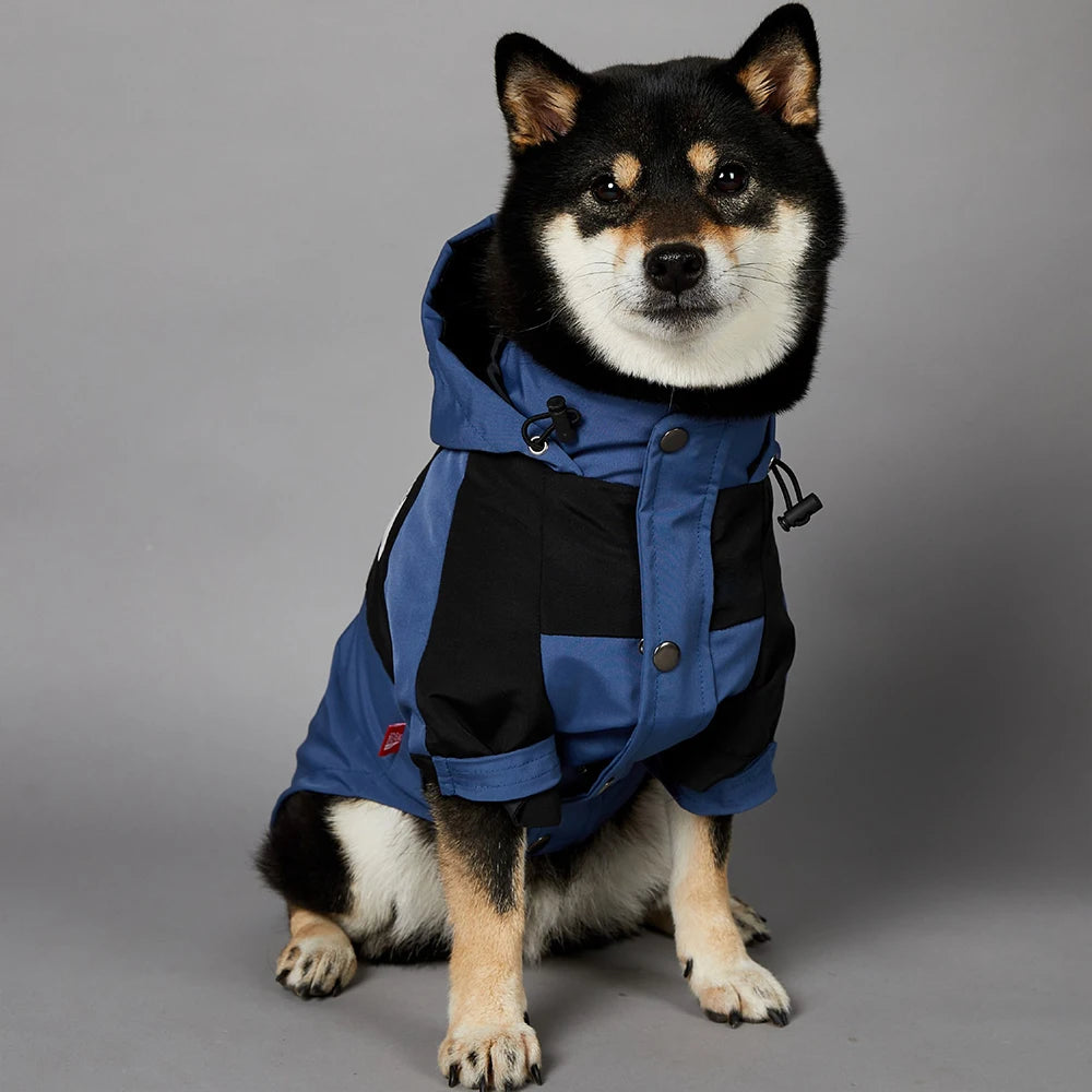 The Dog Face Raincoat